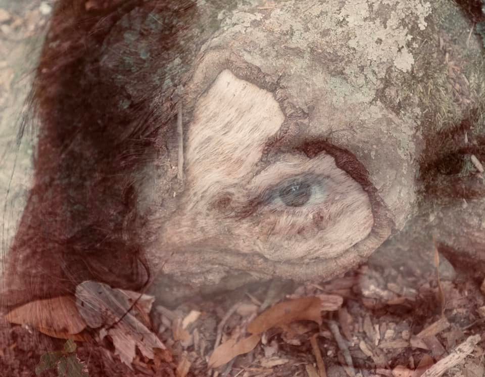 my face in the reflection of a tree